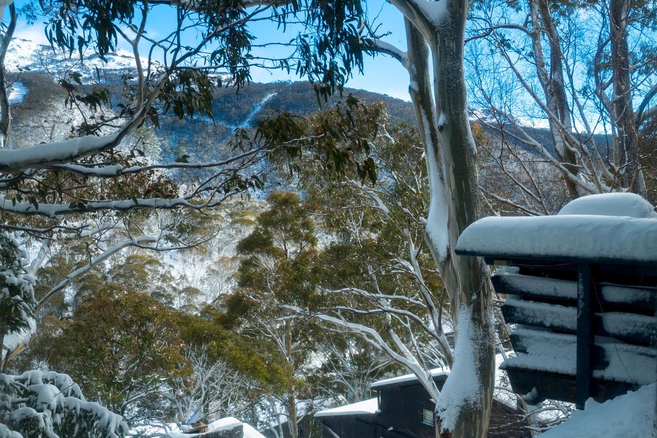 Pure Chalet Thredbo Dış mekan fotoğraf