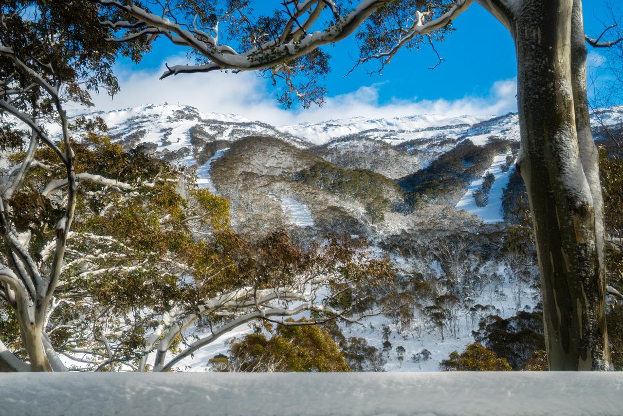 Pure Chalet Thredbo Otel Dış mekan fotoğraf