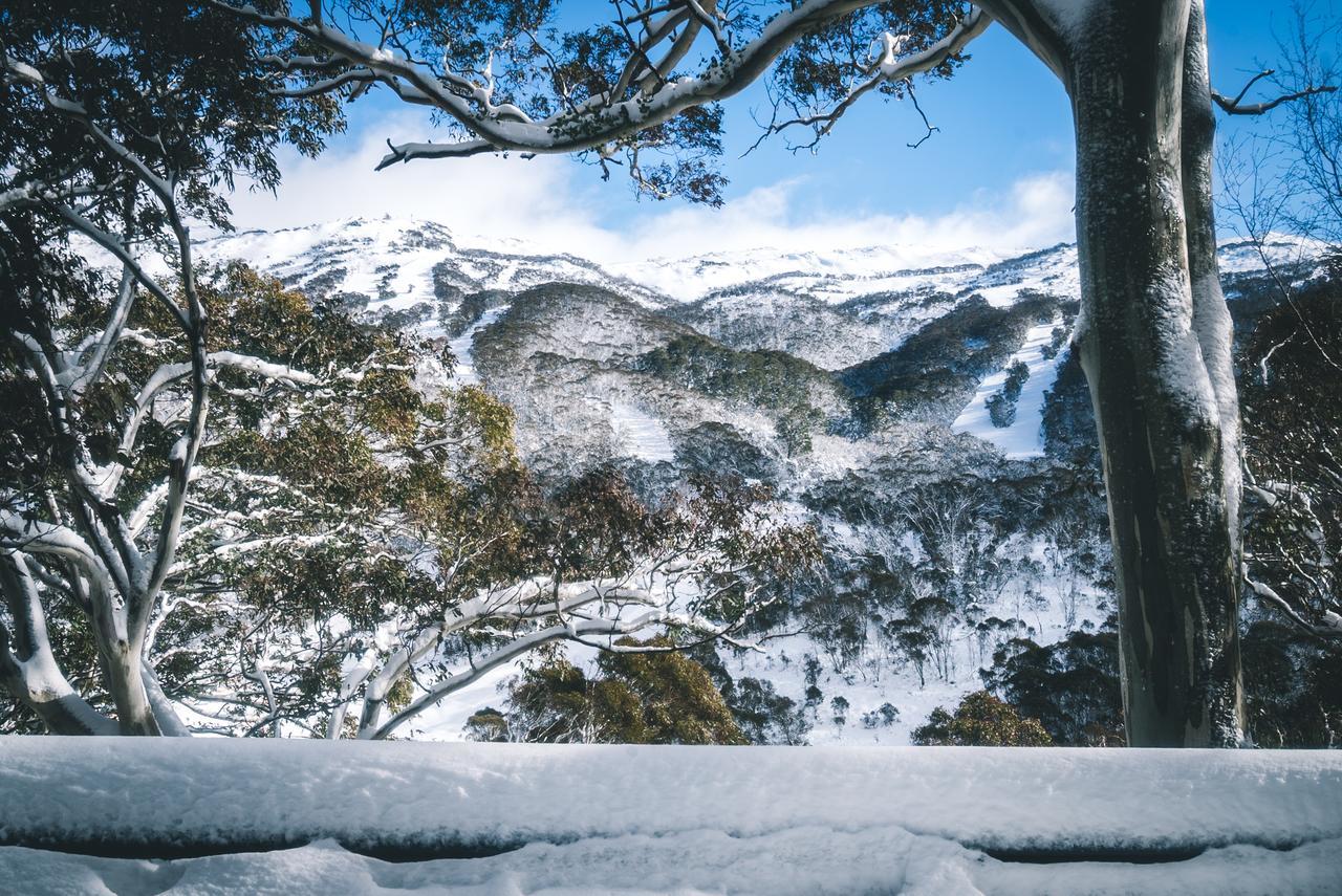 Pure Chalet Thredbo Otel Dış mekan fotoğraf