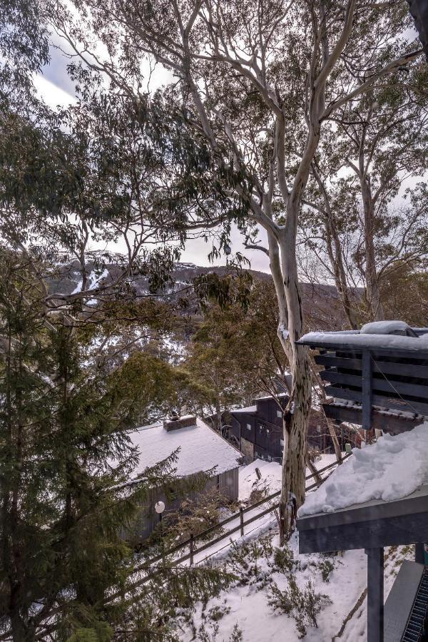 Pure Chalet Thredbo Dış mekan fotoğraf