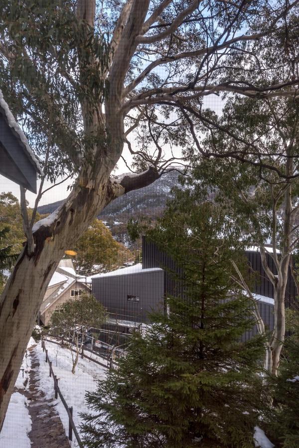 Pure Chalet Thredbo Dış mekan fotoğraf